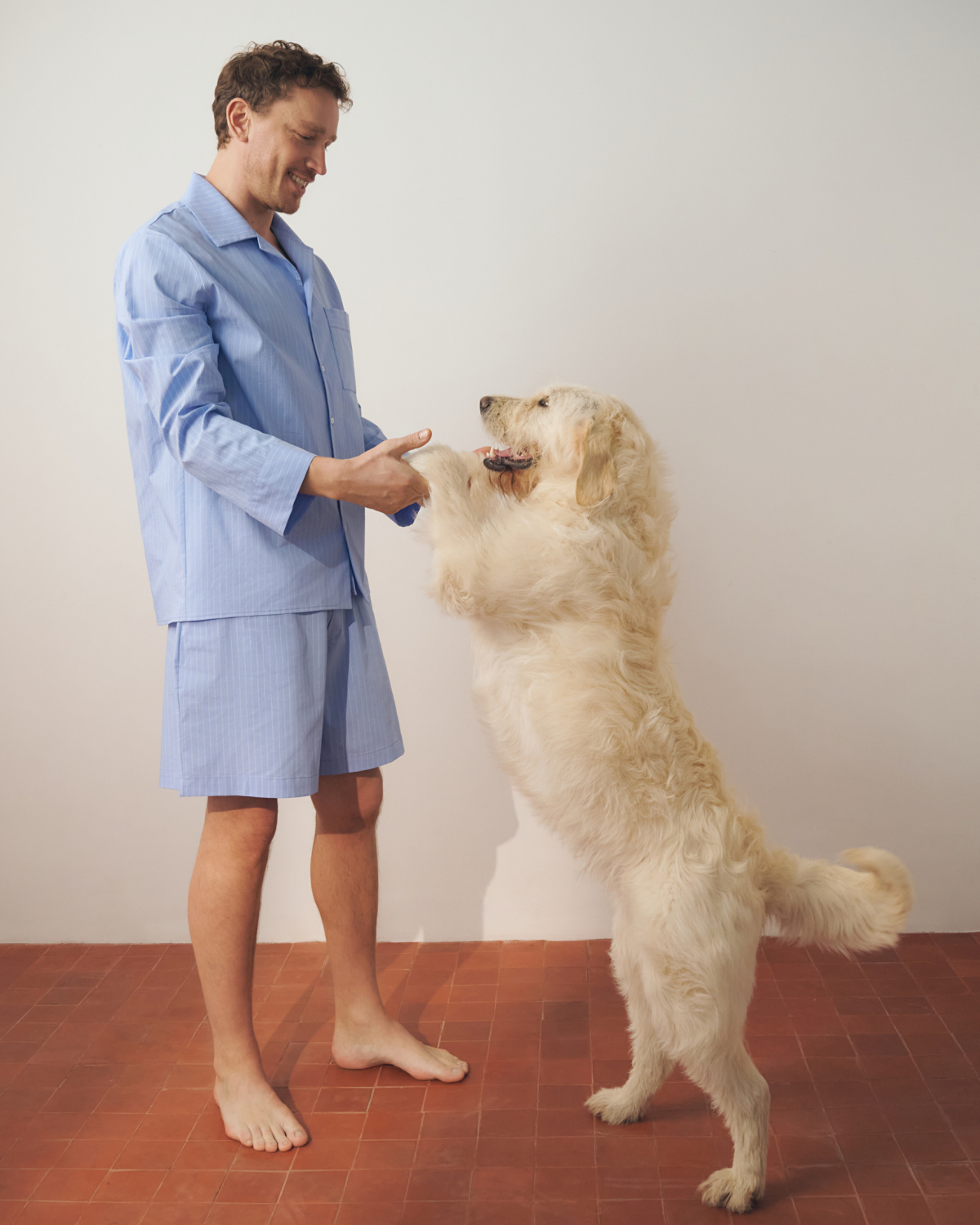 Пижама хлопковая с шортами Blue stripes